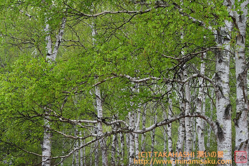 ../Images/7R250517 (50).jpg